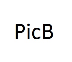 File:PicB.JPG