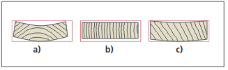 Wood ring direction.png