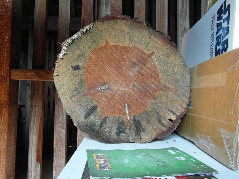 File:Pine log drying in attic.JPG