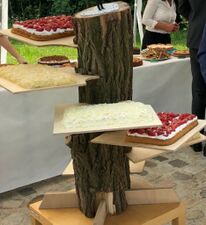 "Lumberjack Championship" inspired wedding cake stand